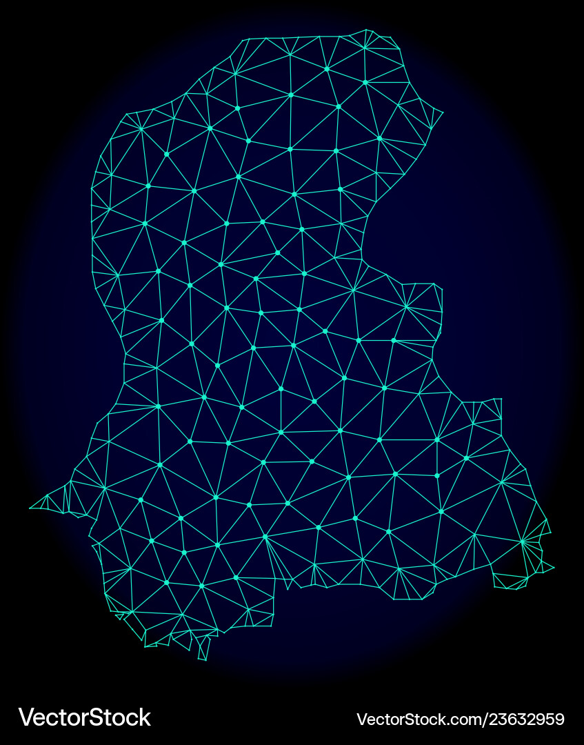 Polygonal network mesh abstract map vector image