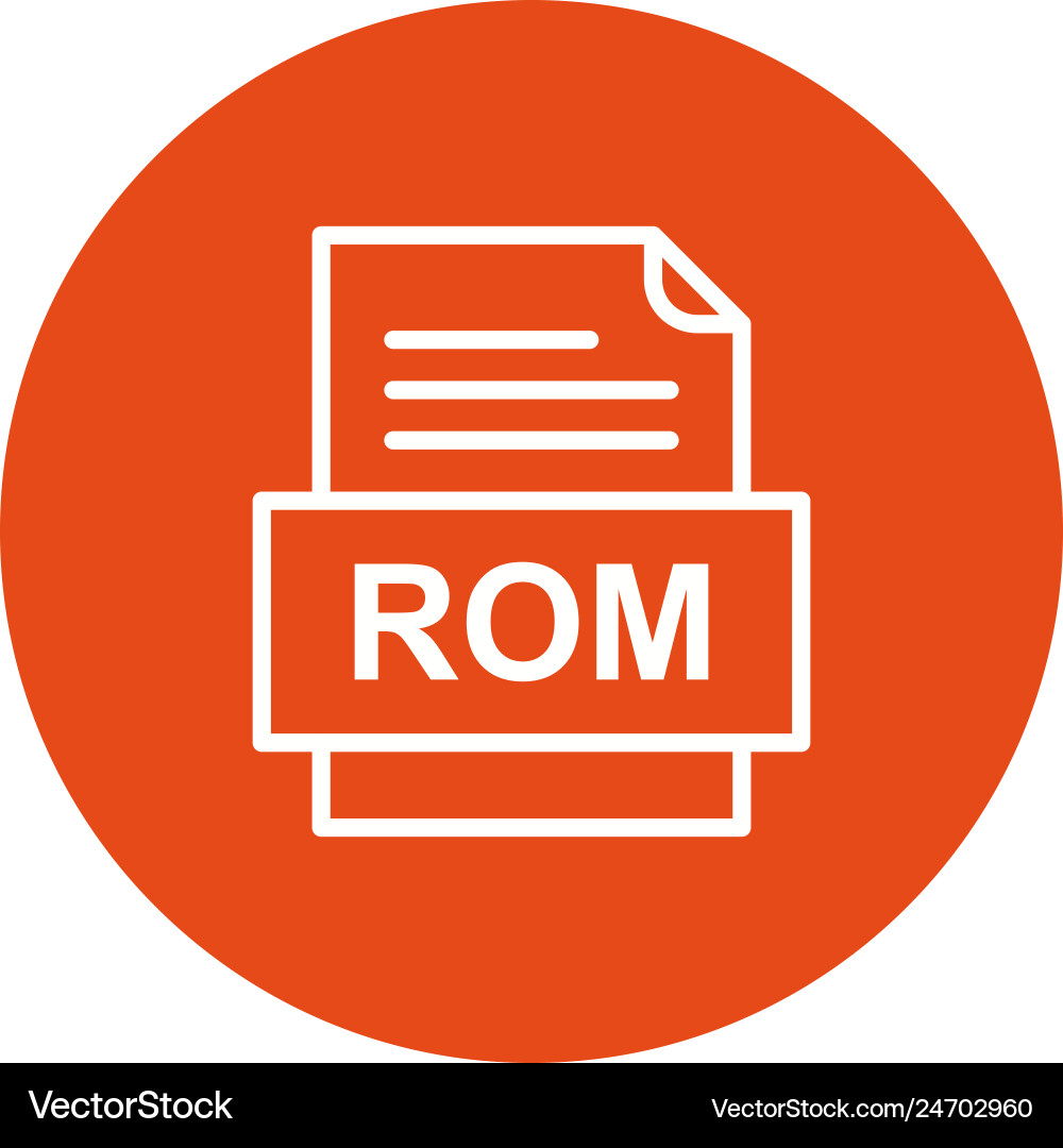 Rom file document icon vector image