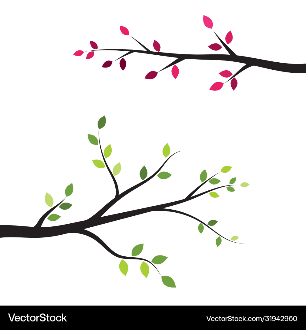Tree branch design Tree branch design vector image