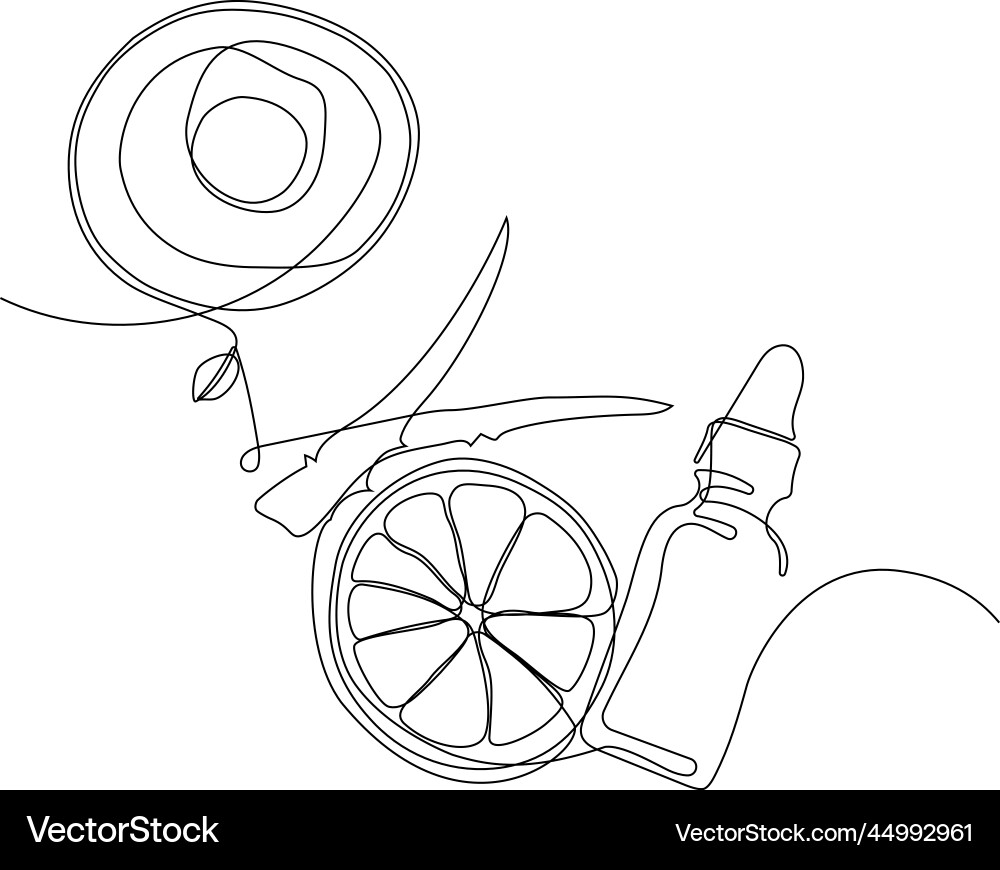 Continuous drawing of one line top view Vector Image