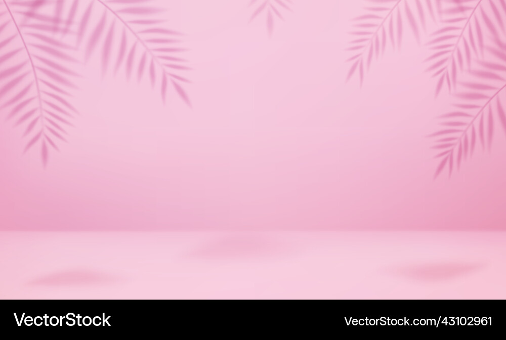 Empty studio abstract background Empty studio abstract background vector image