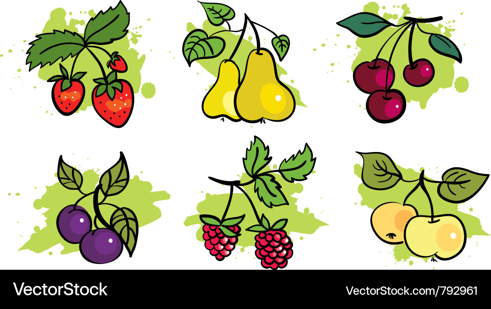 Fruit set vector image