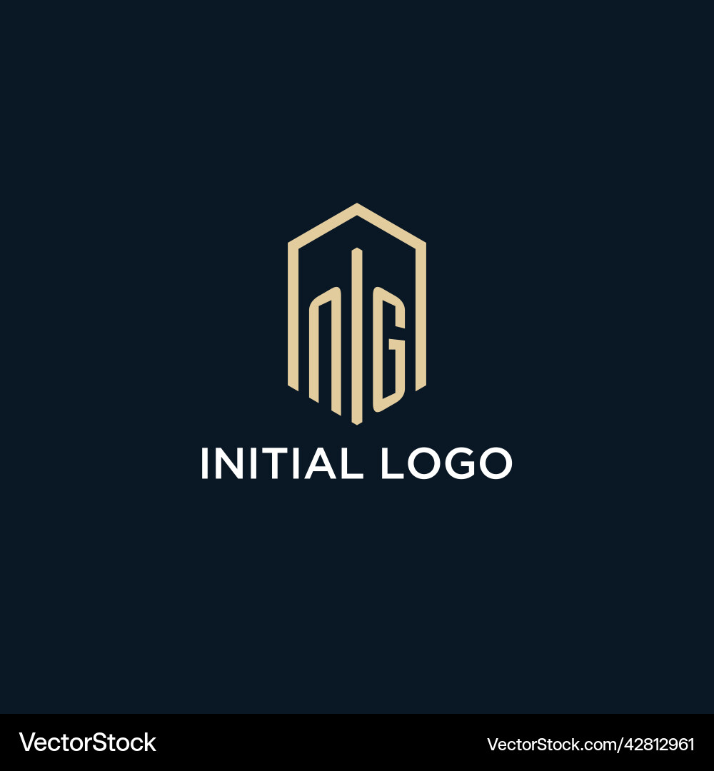 Ng initial monogram logo with hexagonal shape Ng initial monogram logo with hexagonal shape Vector Image