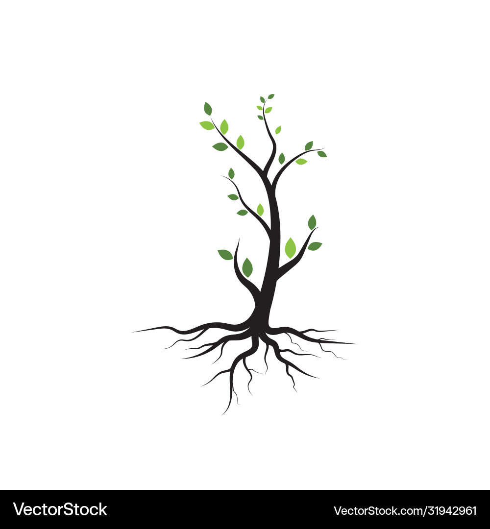 Tree branch design Tree branch design vector image