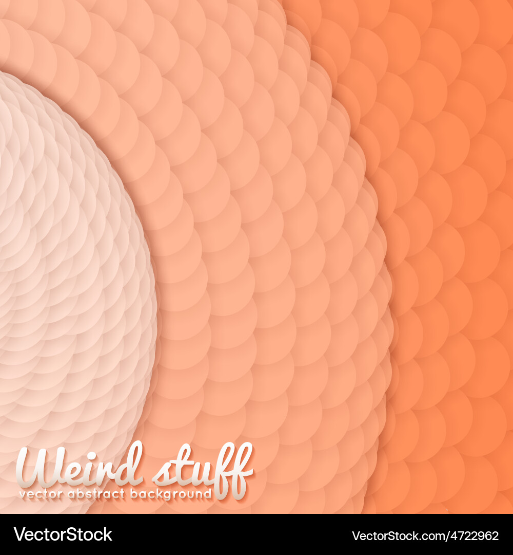 Array of paper cut circles with shadows in form Vector Image
