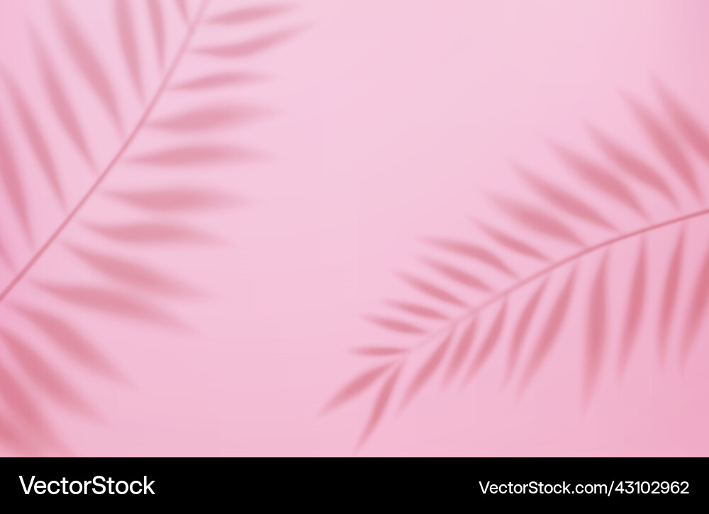 Empty studio abstract background Empty studio abstract background vector image