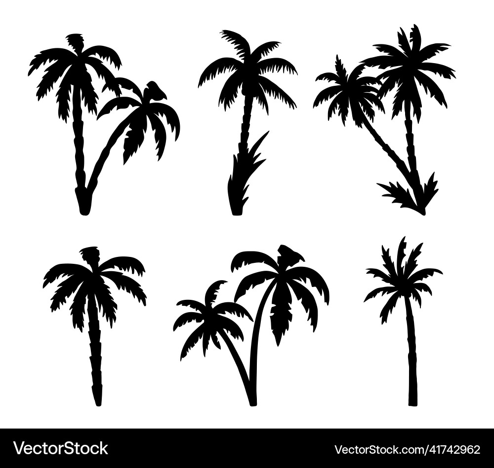 Palm trees silhouettes isolated on white tropical Palm trees silhouettes isolated on white tropical vector image