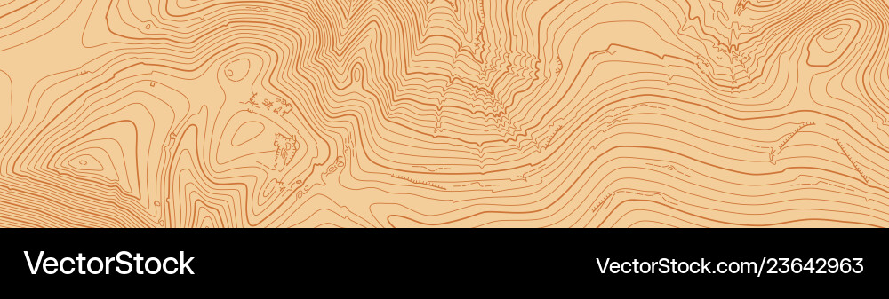 Abstract topographic map in brown colors vector image