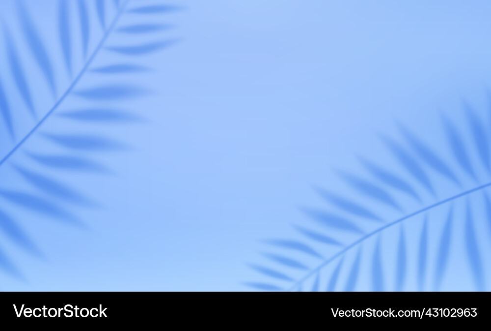 Empty studio abstract background Empty studio abstract background vector image
