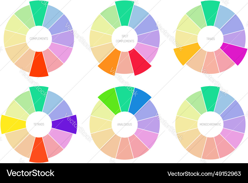 Set of that shows color theory in example colour Set of that shows color theory in example colour vector image