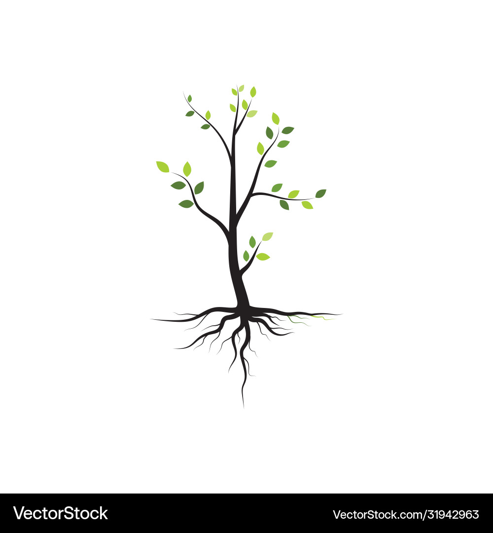 Tree branch design Tree branch design Vector Image