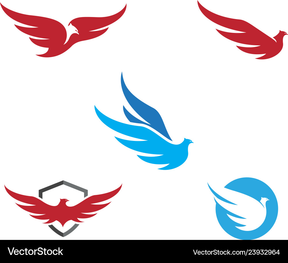 falcon Logo Vorlage Falcon Logo Vorlage vektorbild