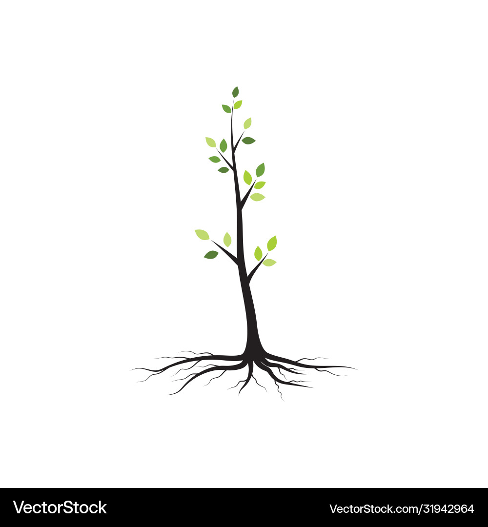 Tree branch design Tree branch design vector image