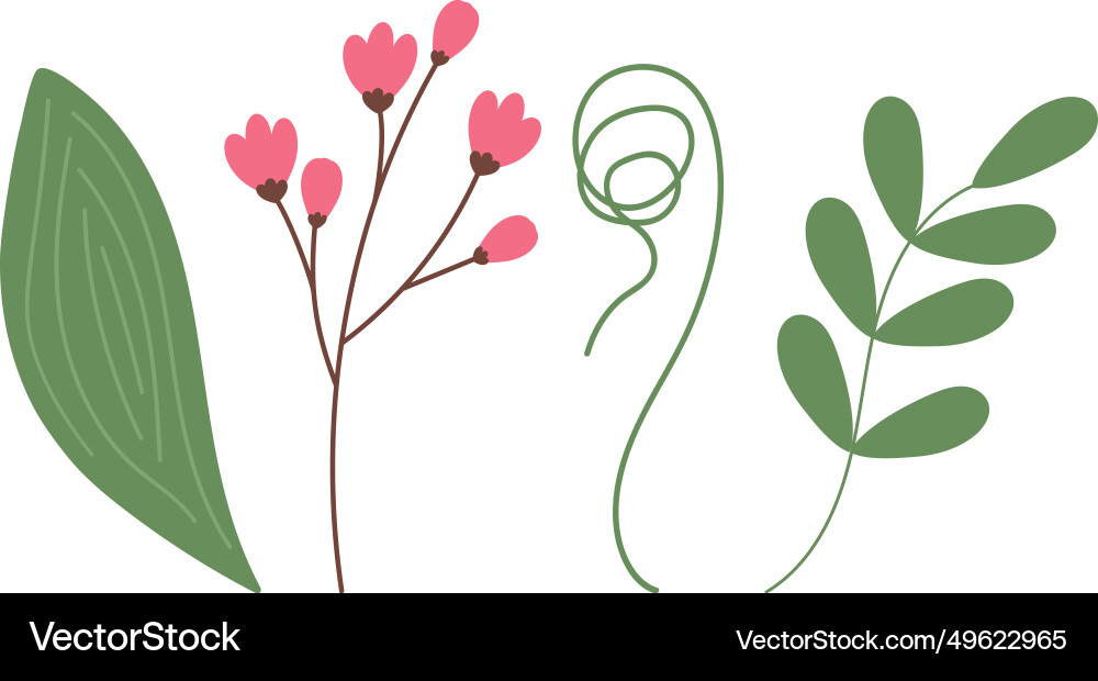 Botanical set of 4 spring design elements Botanical set of 4 spring design elements vector image