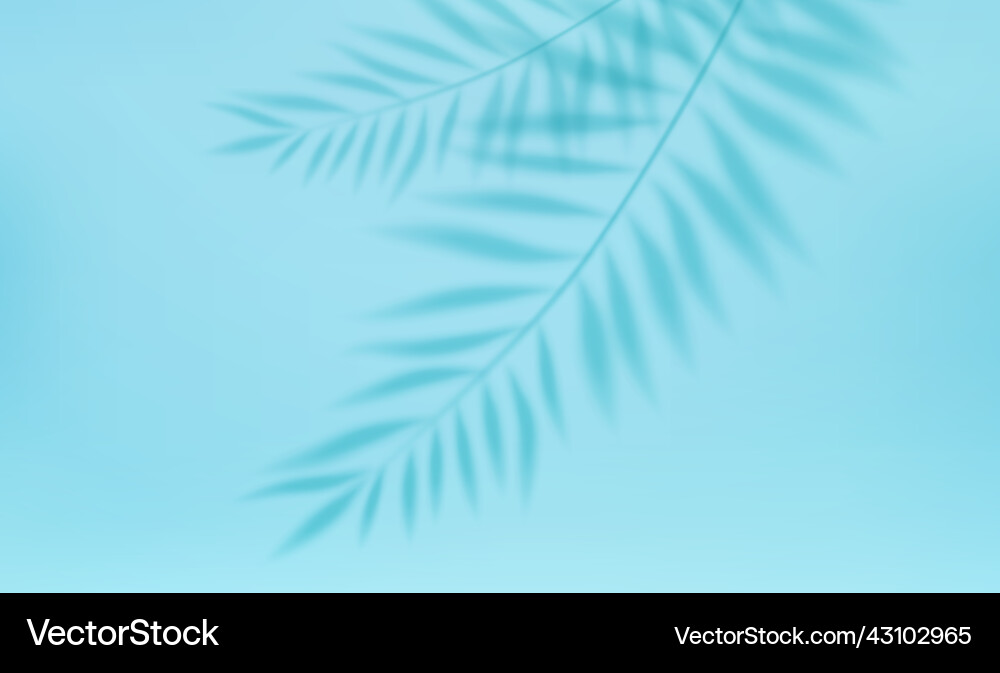 Empty studio abstract background Empty studio abstract background vector image