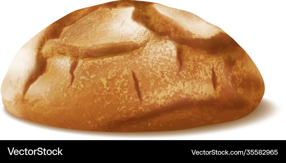 Realistic bread loaf vector image