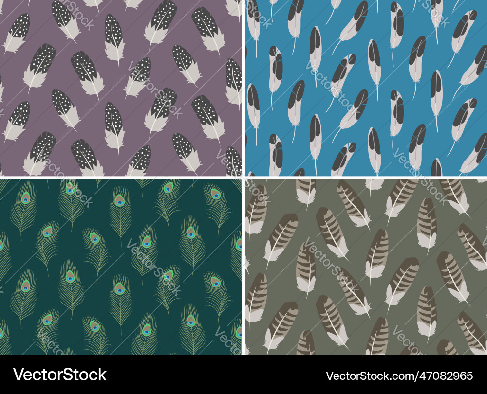 Set of seamless patterns with different feathers vector image