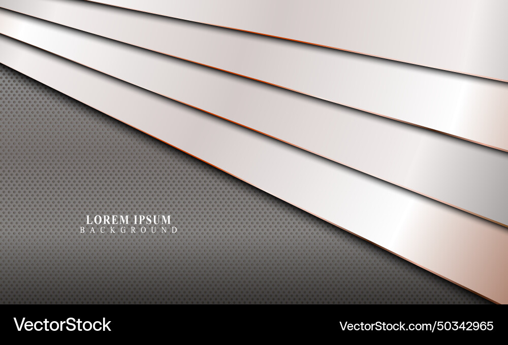 Stripes overlapping layer with lines background Stripes overlapping layer with lines background Vector Image