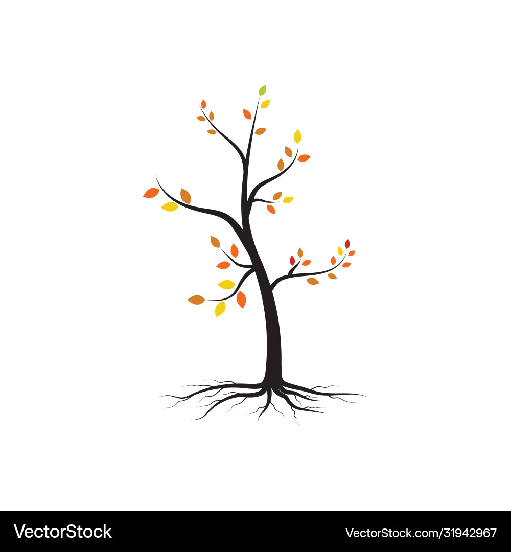 Tree branch design Tree branch design vector image