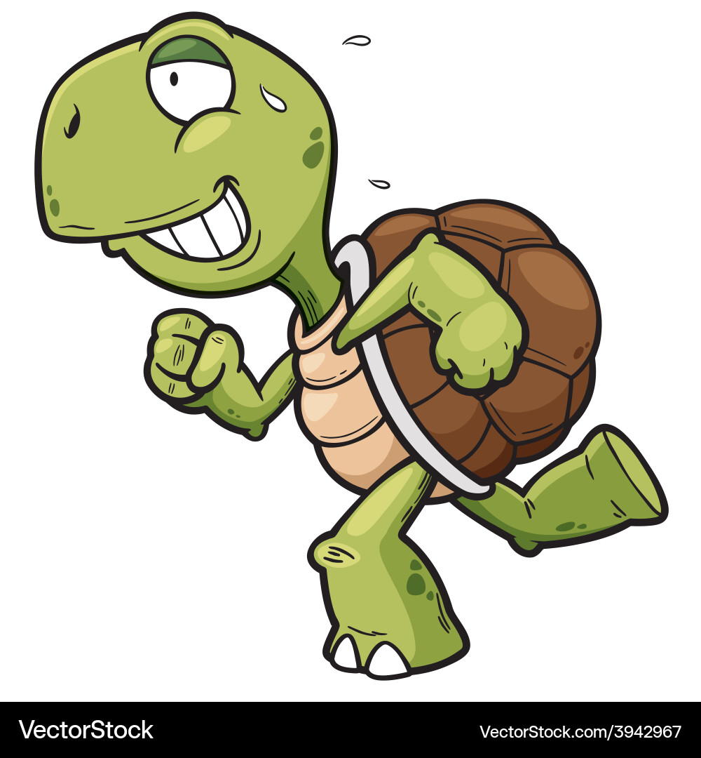 Turtle Royalty Free Vector Image - VectorStock
