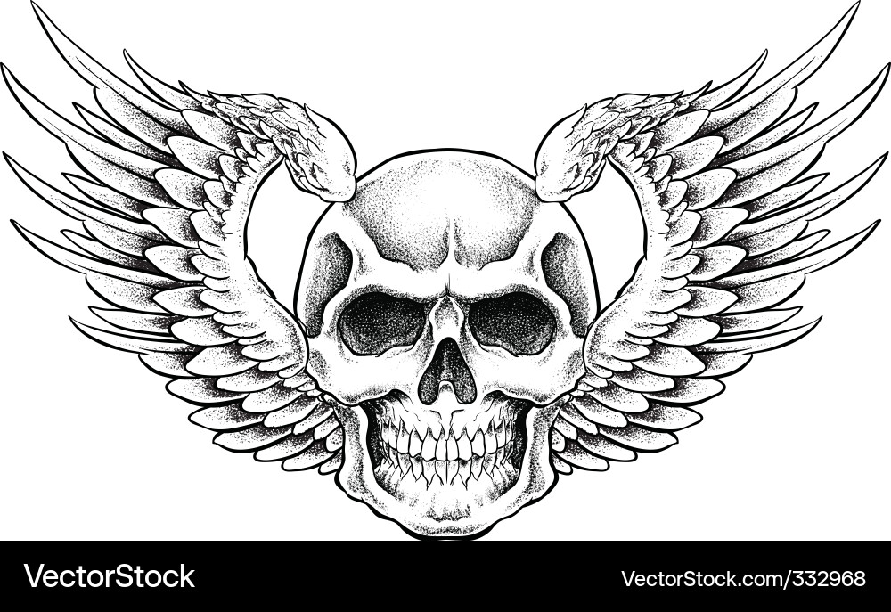 Winged Skull Emblem vector image