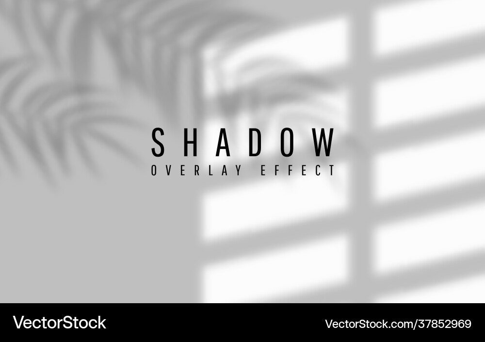 Shadow overlay effect transparent window vector image