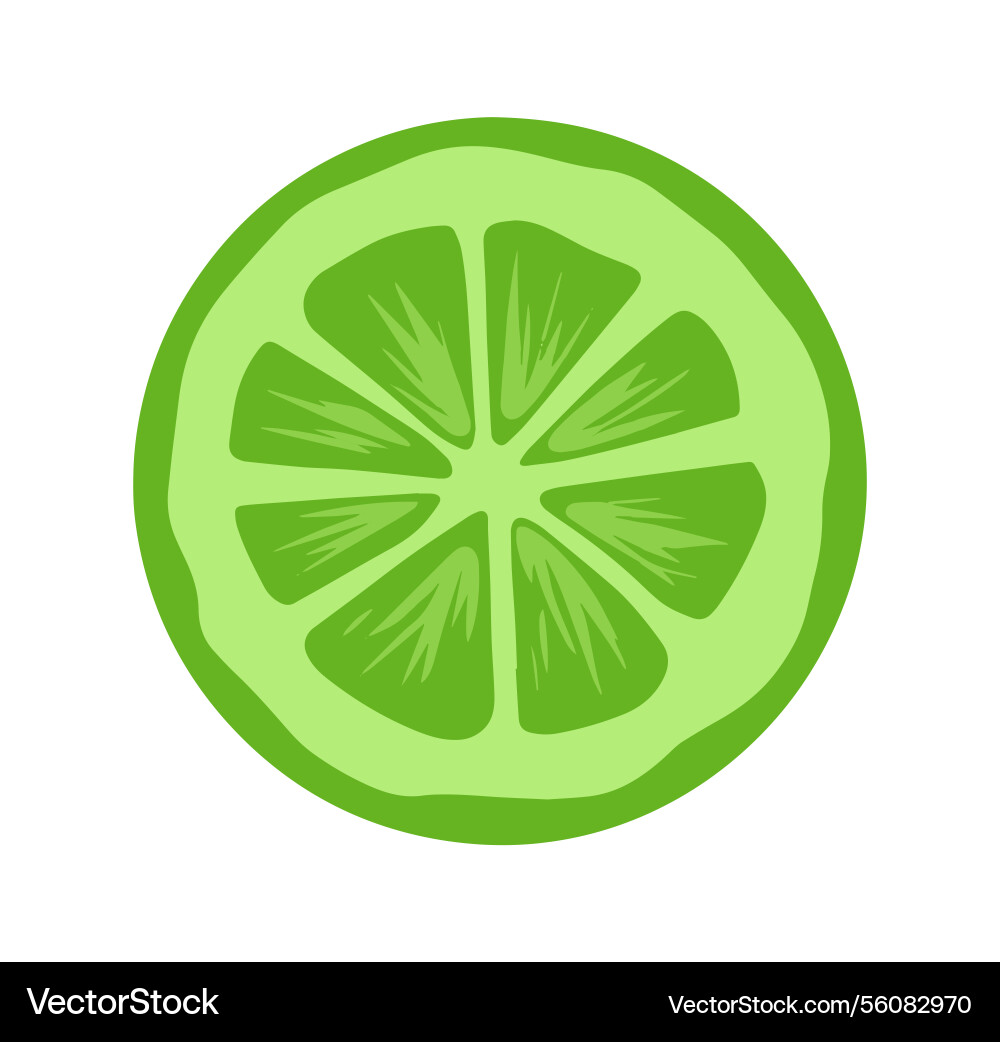 Cucumber slice cross section with seeds flat Cucumber slice cross section with seeds flat vector image
