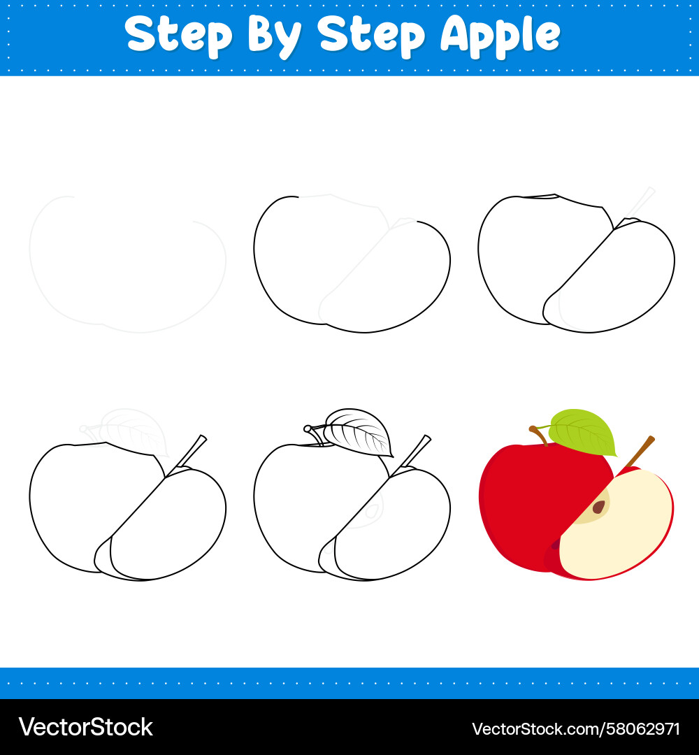 Step-by-Step Apple Drawing Tutorial Vector Image