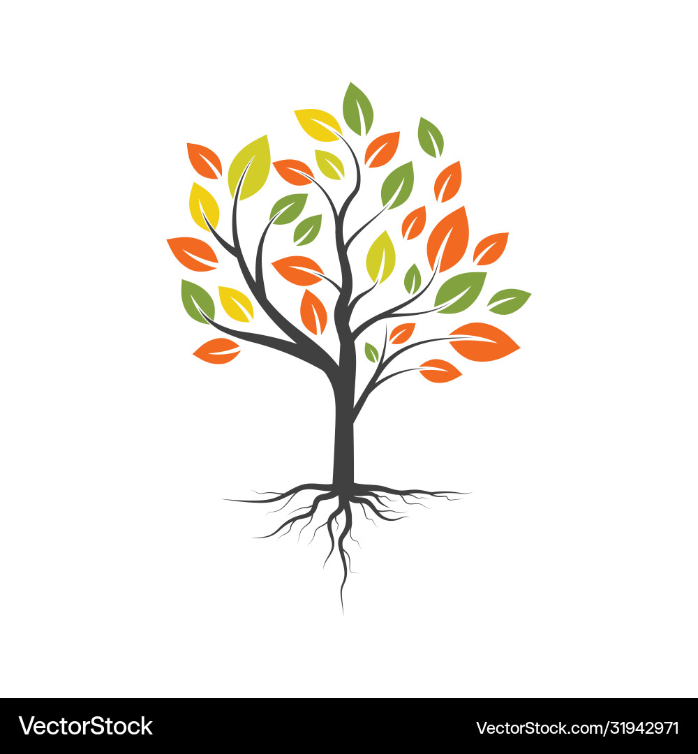 Tree branch design vector image