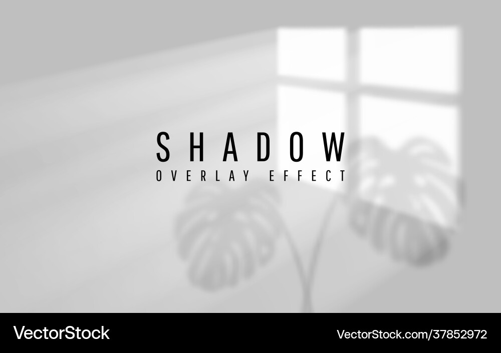 Shadow overlay effect transparent window Shadow overlay effect transparent window vector image