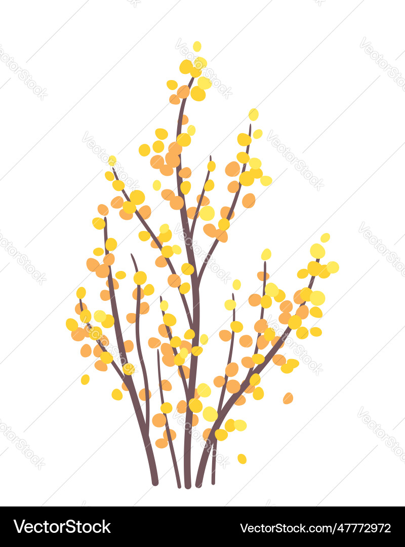 Simple autumn bush with yellow leaves vector image