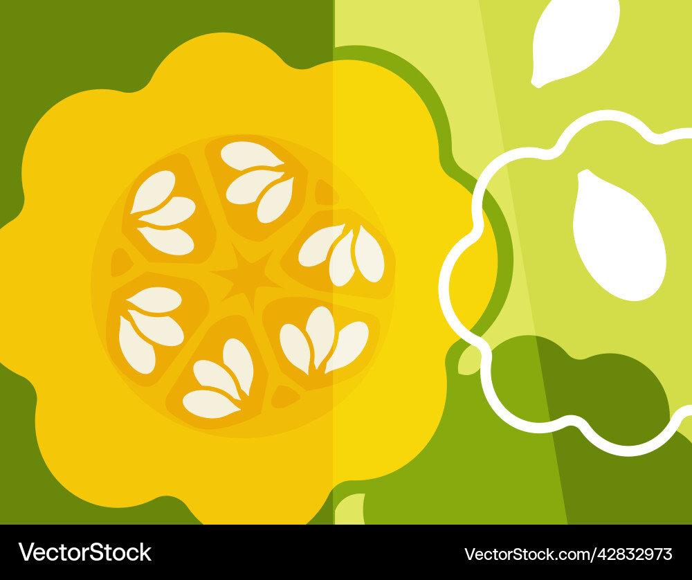 Abstract design of acorn squash cross section vector image