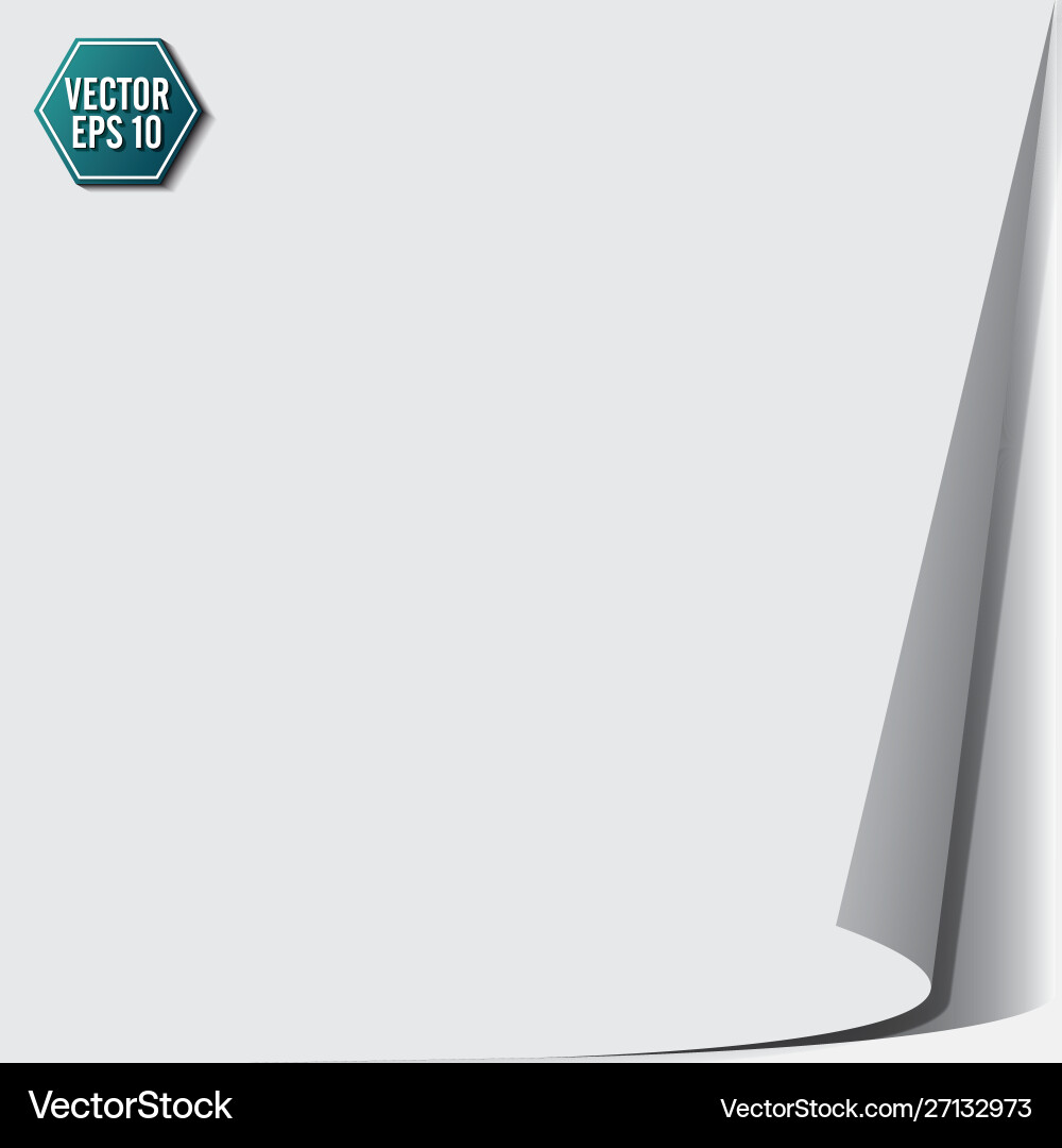 Page curl with shadow on a blank sheet paper Page curl with shadow on a blank sheet paper vector image