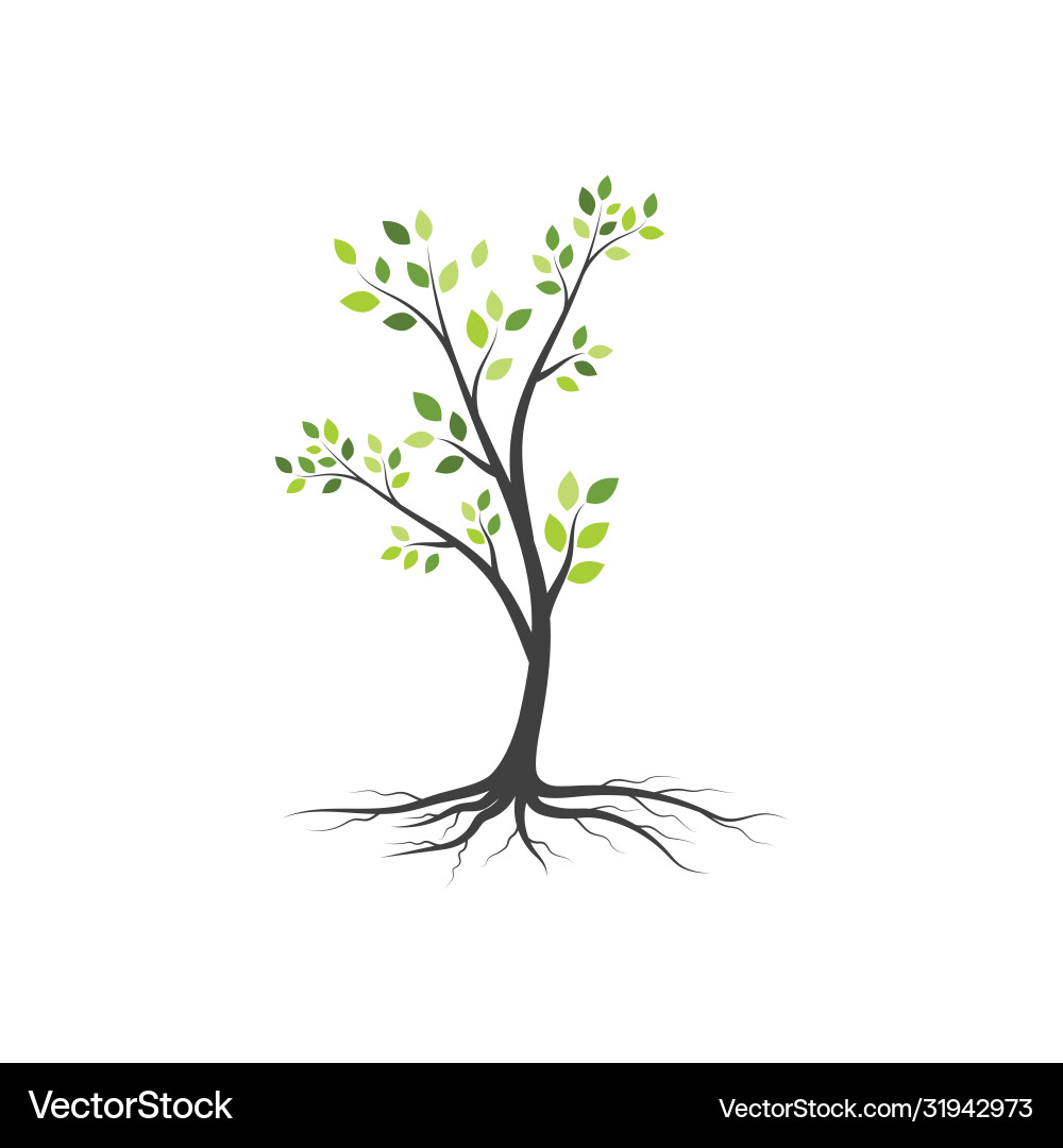 Tree branch design Tree branch design vector image
