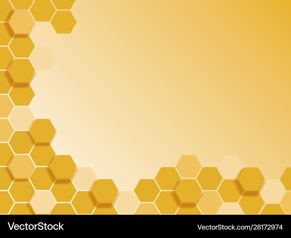 Background template with abstract patterns vector image