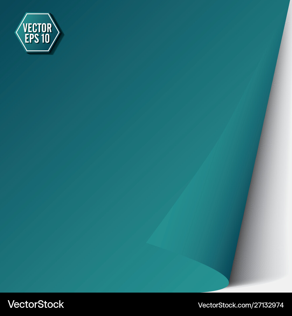 Blue page curl with shadow on a blank sheet Blue page curl with shadow on a blank sheet vector image
