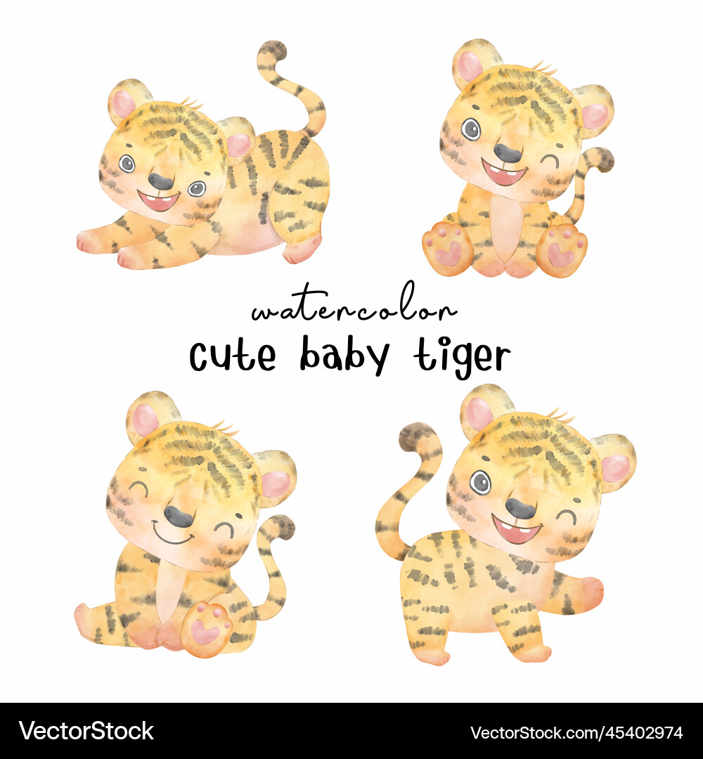 Cute baby tiger watercolor hand drawing painting Cute baby tiger watercolor hand drawing painting vector image