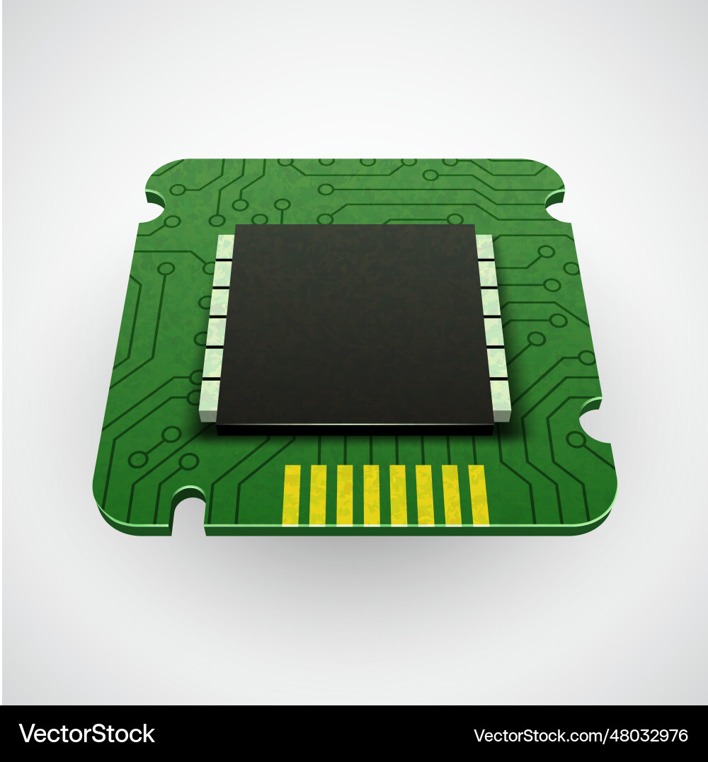 Computer chip or microchip vector image