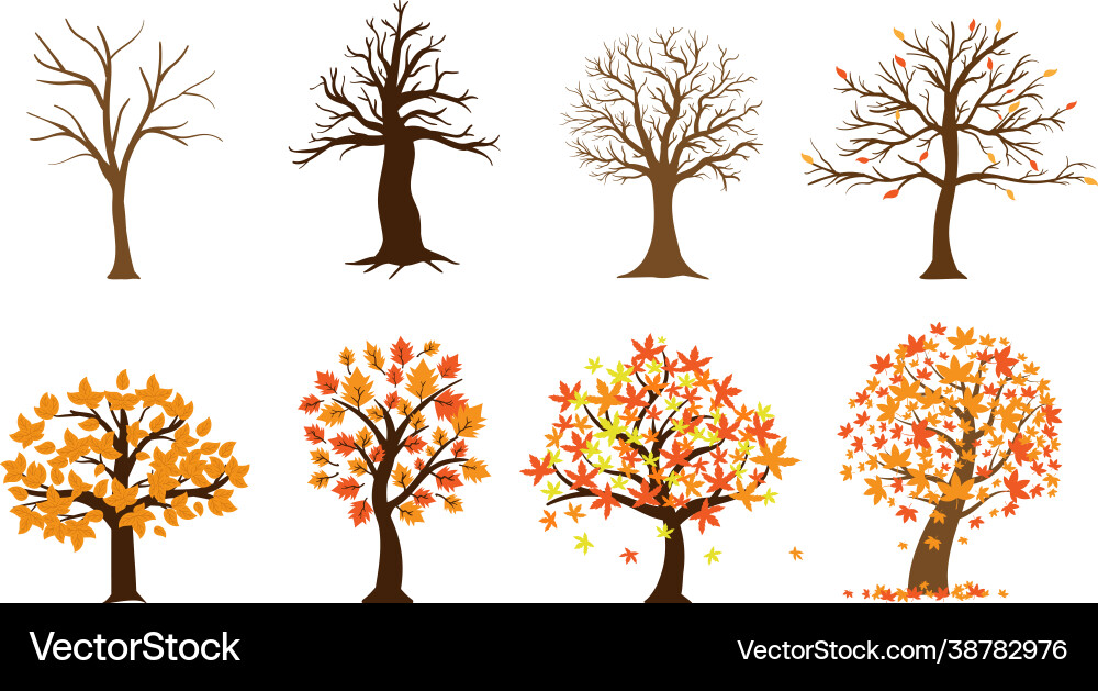 Fall tree icon design set bundle template isolated Fall tree icon design set bundle template isolated vector image