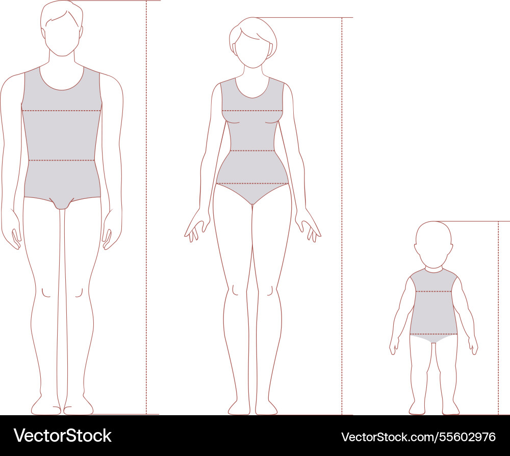 Vector Body Stock Human Body Outline Template Royalty Free Vector Image