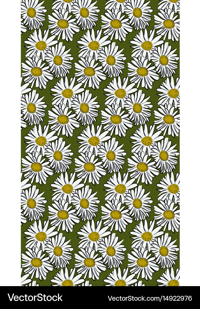 Seamless pattern with chamomile vector image