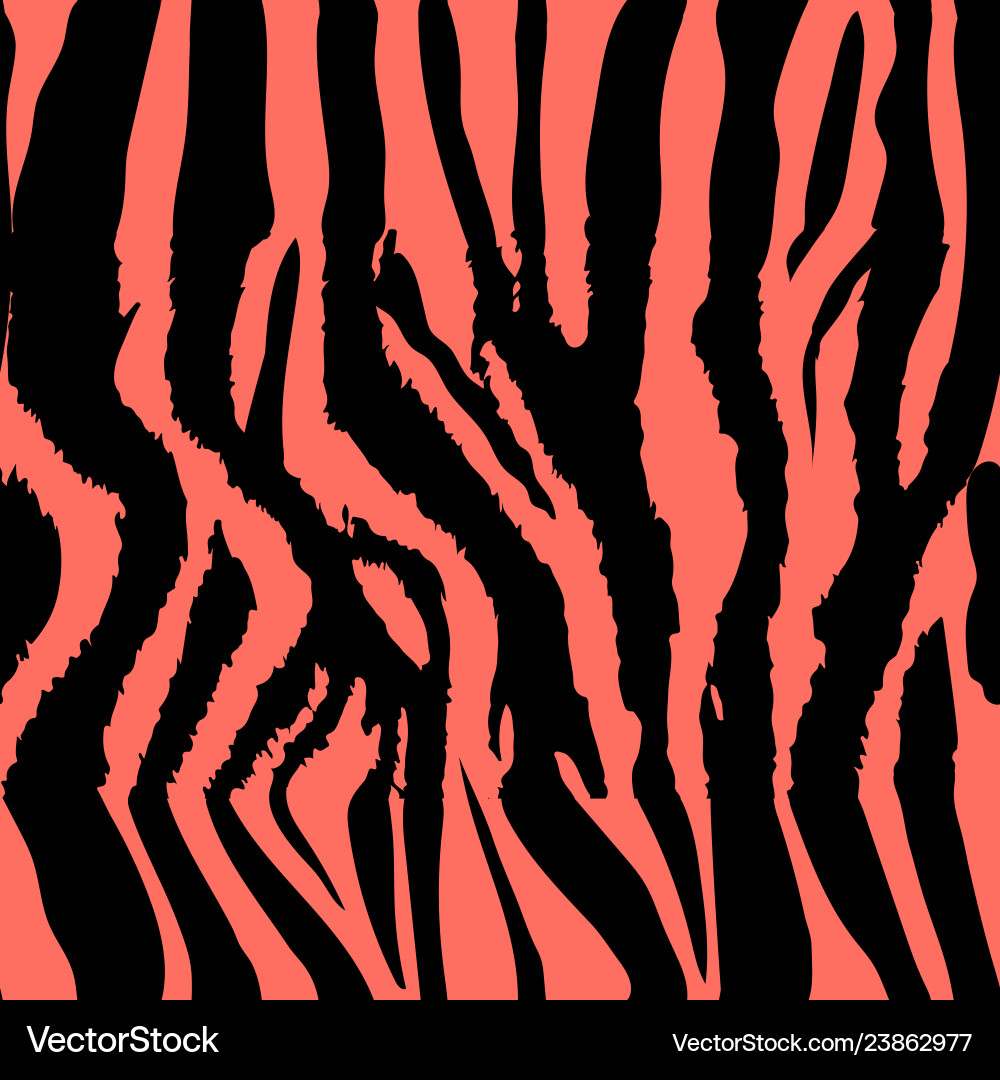 Background pattern texture tiger and zebra strip Background pattern texture tiger and zebra strip vector image