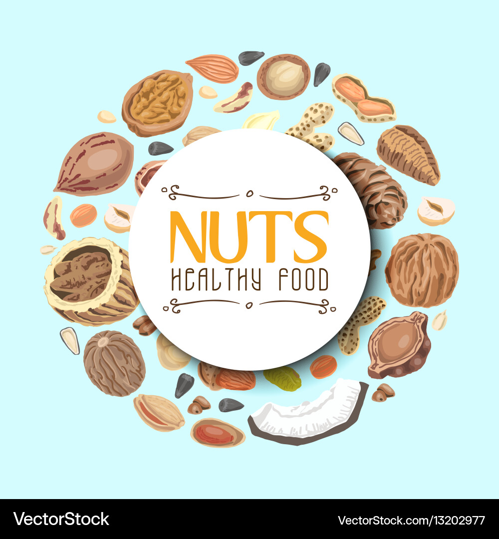 Background with nuts arranged in a circle vector image