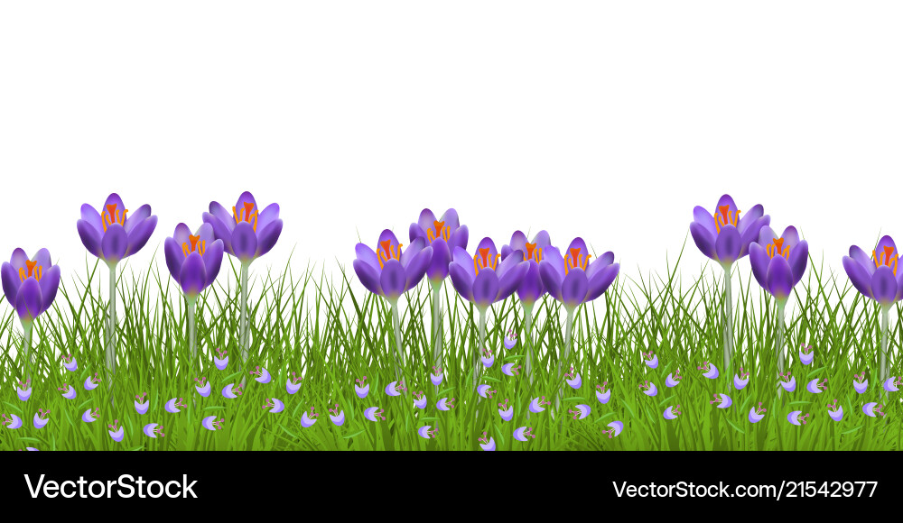 Frühling florale Grenze mit hellen lila Kräusen Frühling florale Grenze mit hellen lila Kräusen vektorbild
