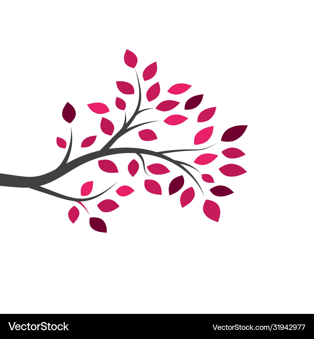 Tree branch design Tree branch design vector image