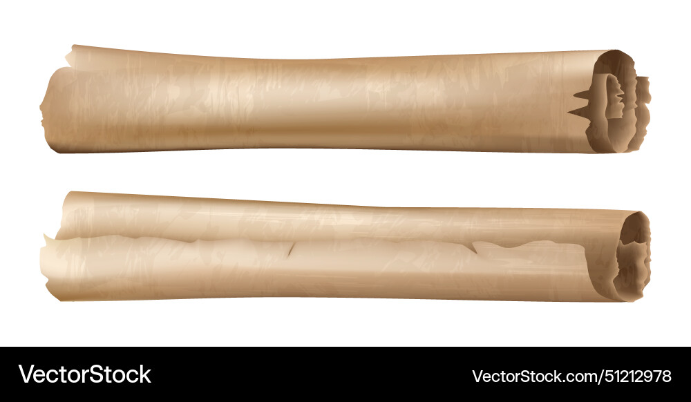 Ancient parchment scrolls on white background Ancient parchment scrolls on white background vector image