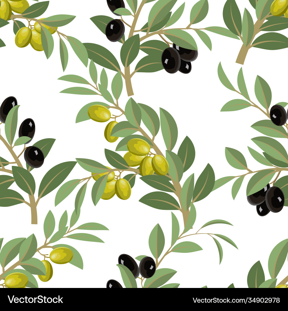 Branches with olives in a pattern vector image