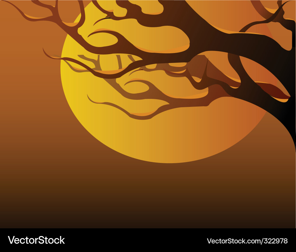 Tree branch at sunset Vector Image