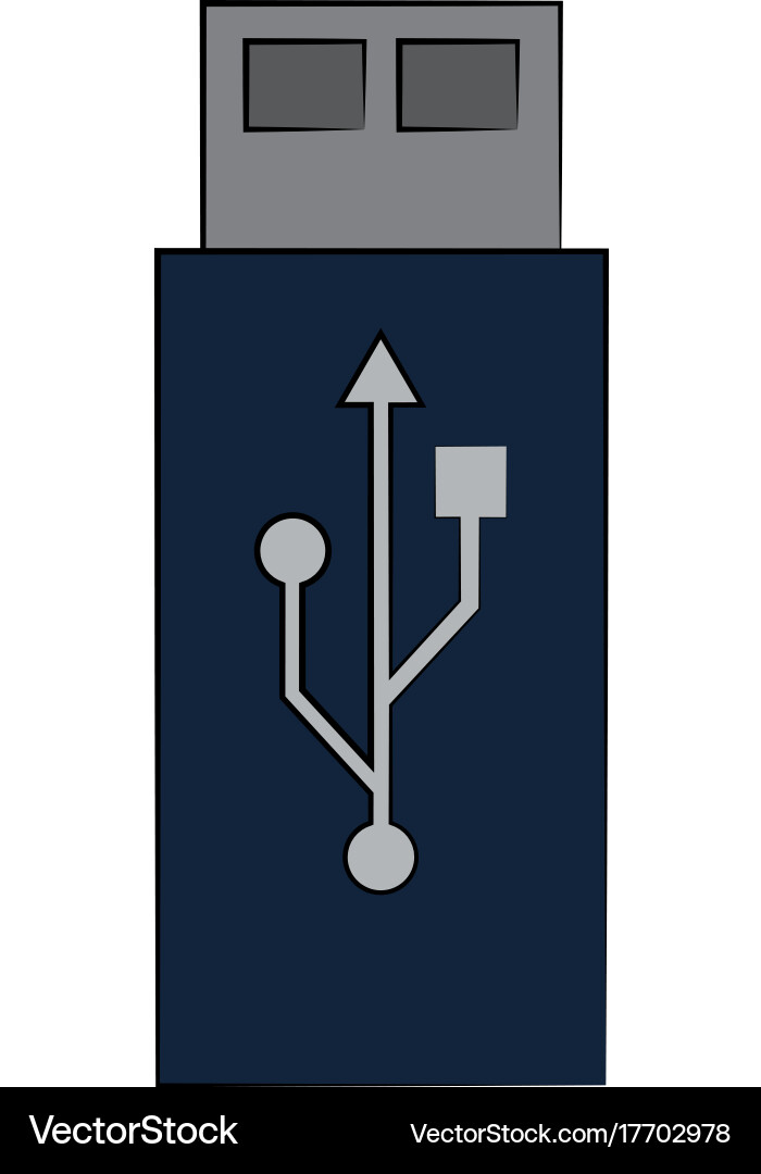 Usb drive icon image Vector Image