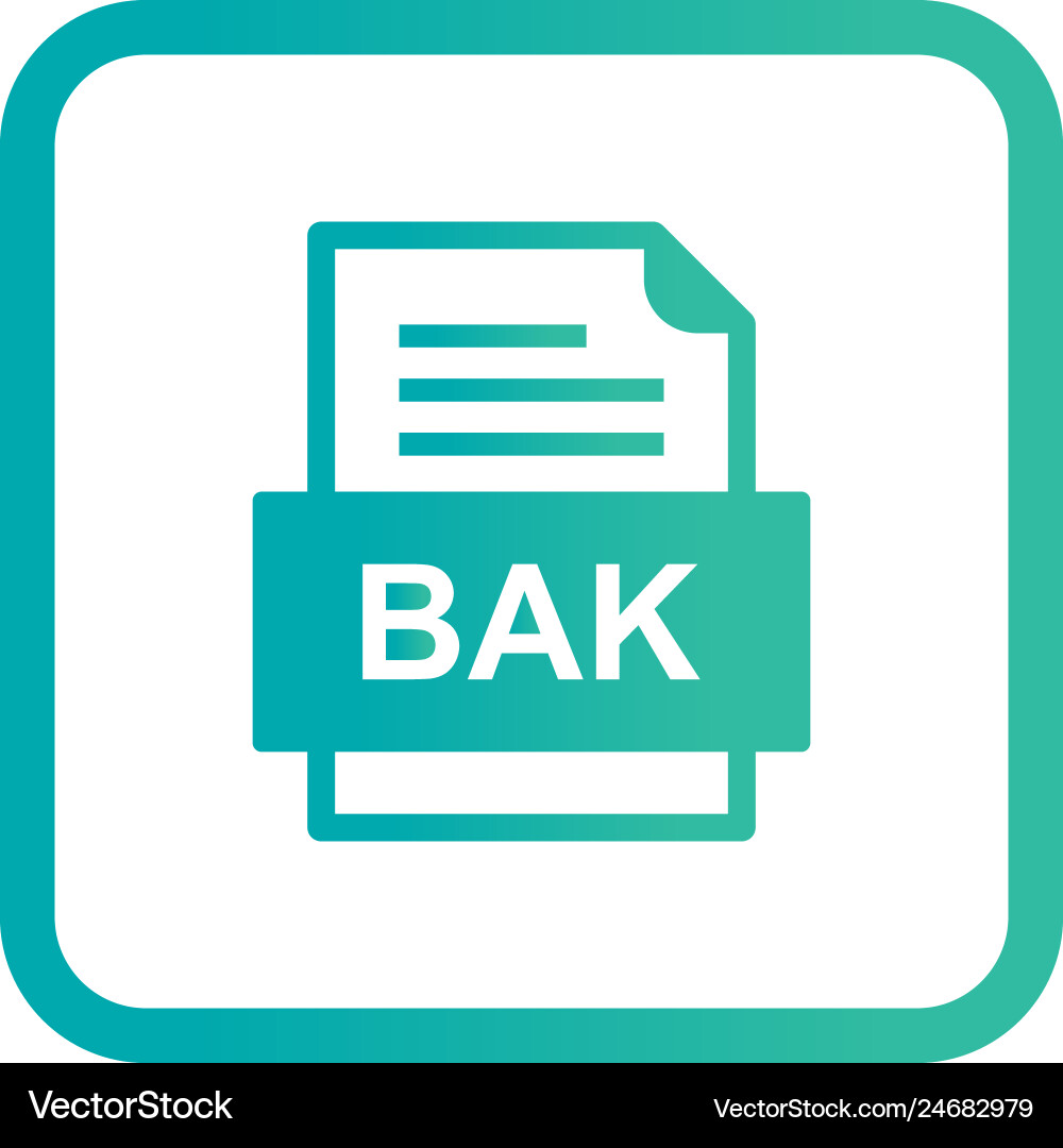 Bak file document icon Vector Image